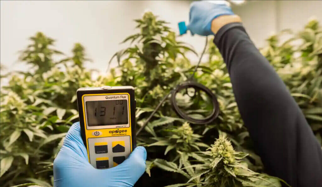 Medical Cannabis Lab